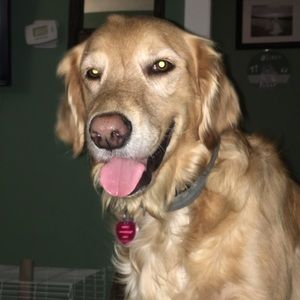 Meet your Posher, Stacia